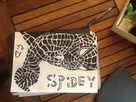 https://image.noelshack.com/fichiers/2014/20/1399933743-spidey.jpg