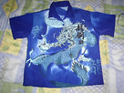https://image.noelshack.com/fichiers/2014/20/1400000990-pires-look-chemise-dragon.jpg