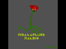 https://image.noelshack.com/fichiers/2014/20/1400182770-leradisvengeur5.png