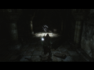 https://image.noelshack.com/fichiers/2014/20/1400381577-darksoulsii-exe-dx9-20140518-025015.png