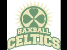 https://image.noelshack.com/fichiers/2014/21/1400503157-celtics.png