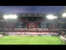 https://image.noelshack.com/fichiers/2014/21/1400608344-tifo2.jpg