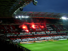 https://image.noelshack.com/fichiers/2014/21/1400608356-tifo5.jpg