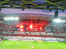 https://image.noelshack.com/fichiers/2014/21/1400608366-tifo4.jpg