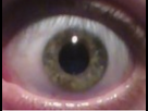 https://image.noelshack.com/fichiers/2014/21/1400619282-oeil.png
