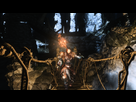 https://image.noelshack.com/fichiers/2014/21/1400805405-darksoulsii-exe-dx9-20140523-003252.png