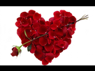 https://image.noelshack.com/fichiers/2014/21/1401009977-pourquoi-pas-un-bouquet-de-roses.jpg