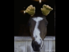 https://image.noelshack.com/fichiers/2014/22/1401452670-am1qevg-460sa.gif