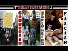https://image.noelshack.com/fichiers/2014/22/1401465785-1.png