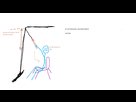 https://image.noelshack.com/fichiers/2014/22/1401560947-encules.png