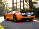 https://image.noelshack.com/fichiers/2014/23/1401721454-cars-other-bugatti-veyron-vitesse-77972.jpg