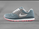 https://www.noelshack.com/2014-23-1401885794-nike-air-safari-elephant-03.jpg