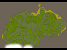 https://image.noelshack.com/fichiers/2014/23/1401963272-theforestmaptest2.jpg
