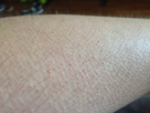 https://image.noelshack.com/fichiers/2014/24/1402334569-iphone-image-06-09-2014.jpg