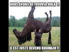 https://image.noelshack.com/fichiers/2014/24/1402503143-cheval.jpg