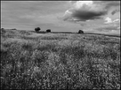 https://image.noelshack.com/fichiers/2014/24/1402809802-dunes-bis.jpg