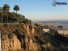 https://image.noelshack.com/fichiers/2014/25/1403016014-palisades-park-santa-monica-los-angeles-palmiers-149123.jpg