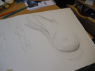 https://image.noelshack.com/fichiers/2014/25/1403033022-imgp0170.jpg