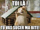 https://image.noelshack.com/fichiers/2014/25/1403199143-iphone-image-06-19-2014.jpg