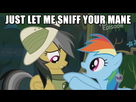 https://www.noelshack.com/2014-25-1403342973-492119-safe-rainbow-dash-animated-image-macro-daring-do-daring-don-t-spoiler-colon-s04e04-creepy-rainbow-dash.gif