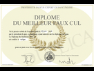 https://image.noelshack.com/fichiers/2014/26/1403721037-700-113117-diplome-du-meilleur-faux-cul.jpg
