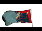 https://image.noelshack.com/fichiers/2014/26/1404002668-dalekflag.gif