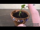 https://image.noelshack.com/fichiers/2014/26/1404052502-deal-with-it.gif