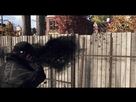 https://image.noelshack.com/fichiers/2014/27/1404080329-watch-dogs2014-6-30-0-17-58.jpg