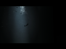 https://image.noelshack.com/fichiers/2014/27/1404162992-inside018.png