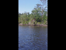 https://image.noelshack.com/fichiers/2014/27/1404323100-bigfoot-norfolk.png