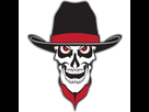 https://www.noelshack.com/2014-27-1404386636-dallas-vigilantes-2011-logo-22.png