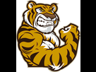 https://www.noelshack.com/2014-27-1404398028-logo-tiger.jpg