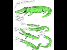 https://www.noelshack.com/2014-27-1404477876-projet-crocodiles-le-tumblr-qui-d-nonce-le-harc-lement-sexuel-38802.png