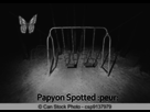 https://www.noelshack.com/2014-27-1404506279-papyon-spotted.jpg