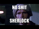 https://image.noelshack.com/fichiers/2014/28/1404983795-no-shit-sherlock.jpg