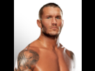 https://image.noelshack.com/fichiers/2014/28/1404986563-randy-orton-bio.png