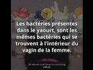 https://image.noelshack.com/fichiers/2014/28/1405020459-10433789-637052636413891-8828557576943429464-n.jpg