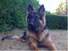 https://image.noelshack.com/fichiers/2014/28/1405107119-lolo-du94-1357143353-b.jpg
