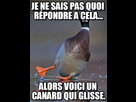 https://image.noelshack.com/fichiers/2014/28/1405176118-9i33h7.jpg
