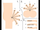 https://image.noelshack.com/fichiers/2014/28/1405192989-stats.jpg