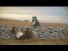https://image.noelshack.com/fichiers/2014/28/1405203338-55161.gif