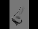 https://image.noelshack.com/fichiers/2014/29/1405413347-15-small-woman-nose.jpg