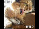 https://image.noelshack.com/fichiers/2014/29/1405450572-omgwtf.jpg