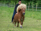 https://www.noelshack.com/2014-29-1405595450-beau-petit-poney.png