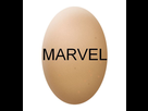 https://image.noelshack.com/fichiers/2014/29/1405627668-oeuf-marvel.jpg
