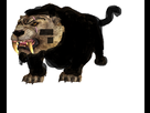 https://image.noelshack.com/fichiers/2014/30/1405902096-sabre-cat-skyrim.png