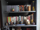 https://image.noelshack.com/fichiers/2014/30/1406030188-dscn1221.jpg