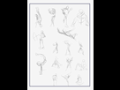 https://image.noelshack.com/fichiers/2014/30/1406068283-gesture2-001.png