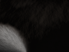 https://image.noelshack.com/fichiers/2014/30/1406210954-screenshot92.png