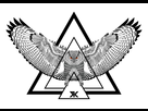 https://image.noelshack.com/fichiers/2014/30/1406245067-owl-design-finish.jpg